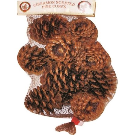 SANTAS FOREST Pine Cones Cinnamon Scent 20Pc 70410-20